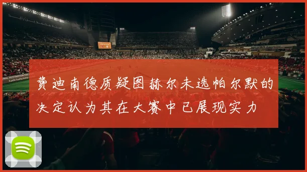 费迪南德质疑图赫尔未选帕尔默的决定认为其在大赛中已展现实力