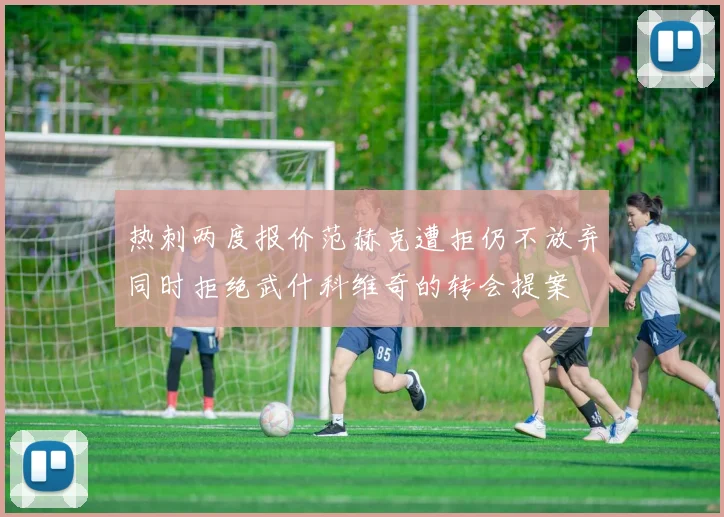 热刺两度报价范赫克遭拒仍不放弃同时拒绝武什科维奇的转会提案