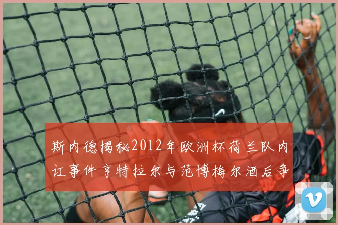 斯内德揭秘2012年欧洲杯荷兰队内讧事件亨特拉尔与范博梅尔酒后争执内幕