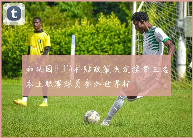 加纳因FIFA补贴政策决定携带三名本土联赛球员参加世界杯