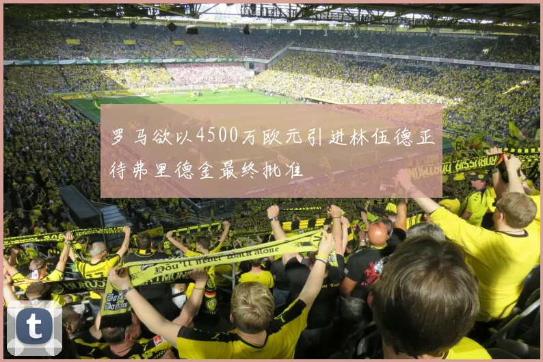 罗马欲以4500万欧元引进林伍德正待弗里德金最终批准